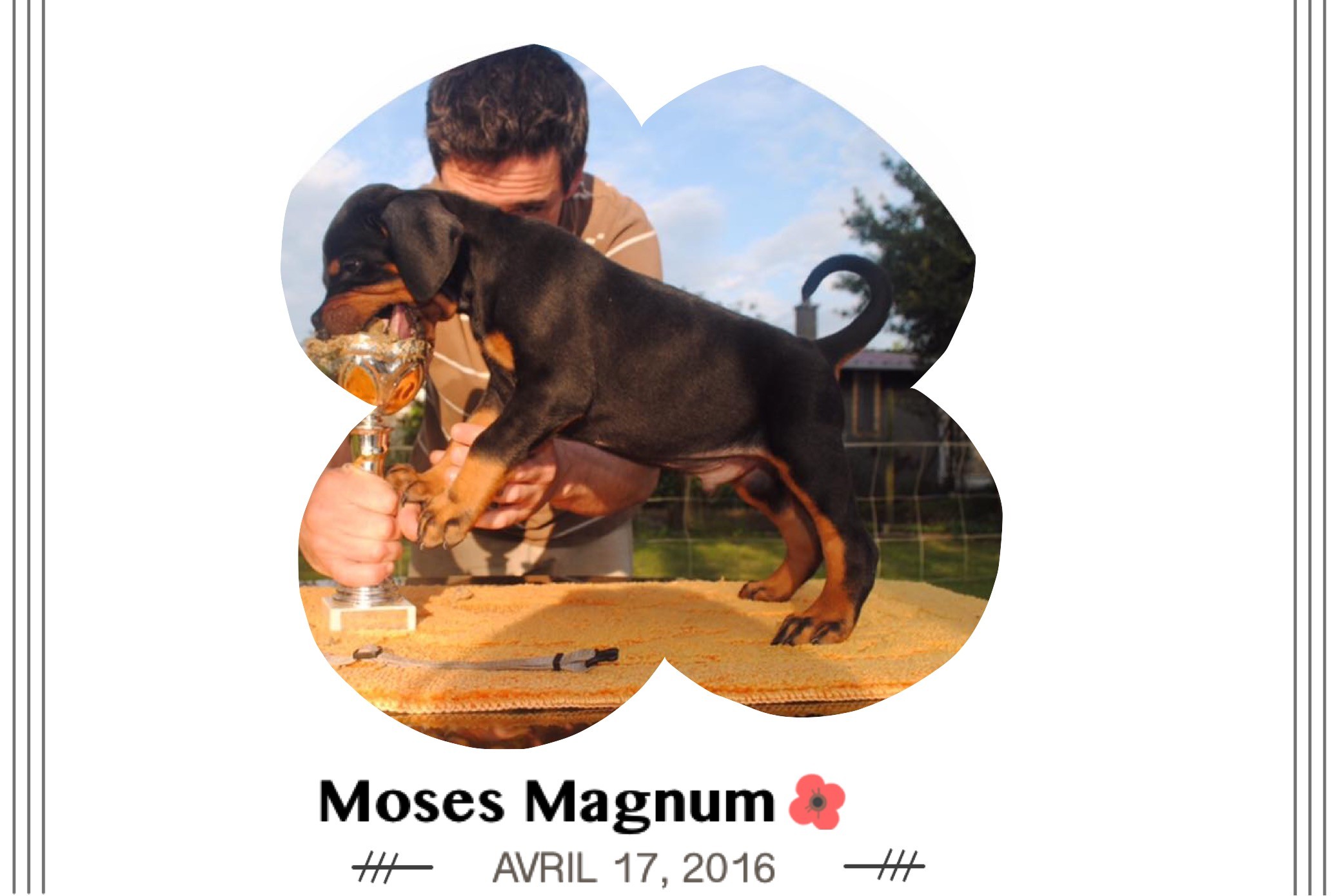 Moses magnum of Dark Ancestor